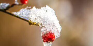 2017-01-06-winterimpressionen