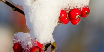 2017-01-06-winterimpressionen