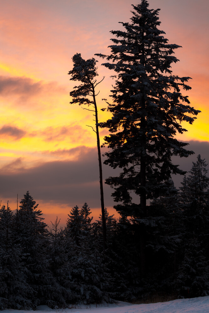 Sonnenuntergang am Buchberg